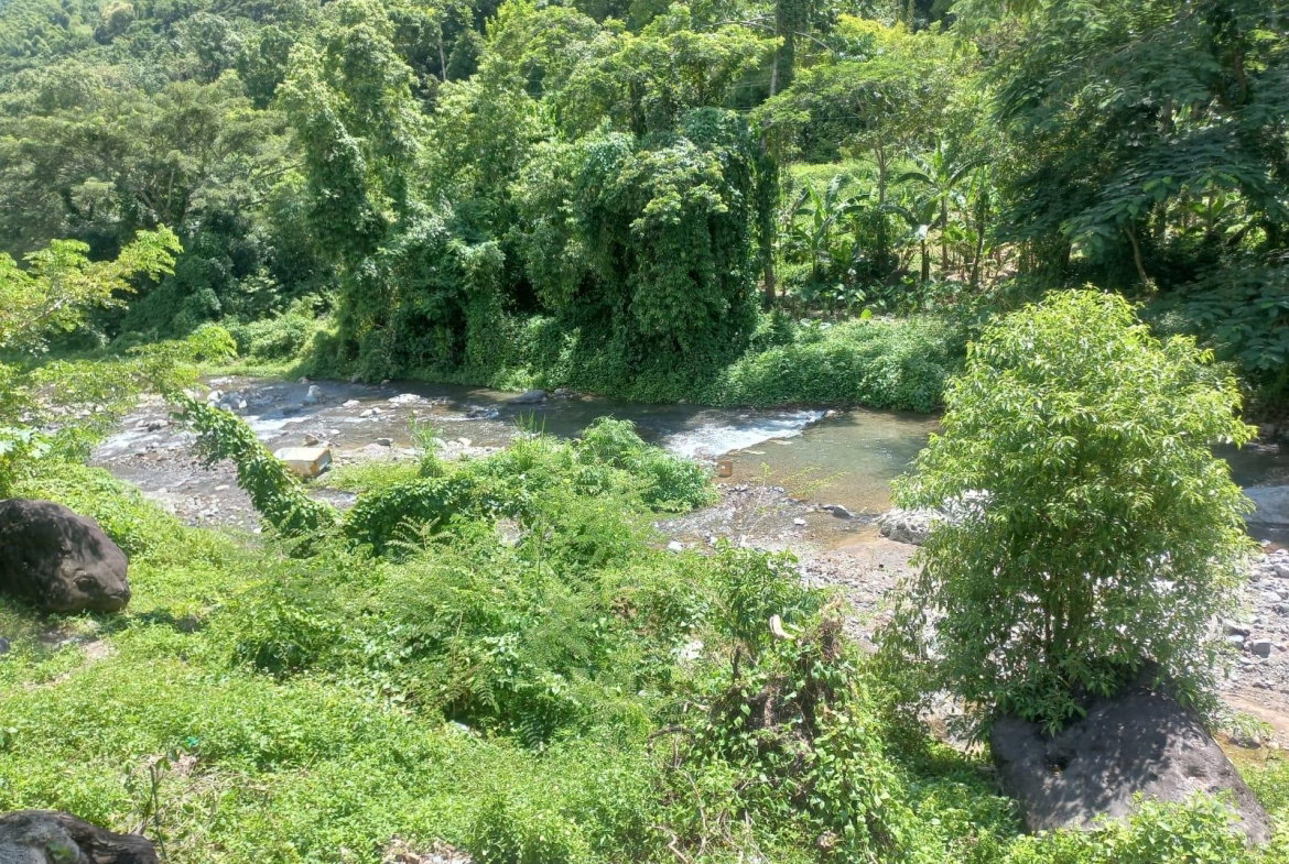 Third image of Mount Lebanus in Mount Lebanus, St. Thomas, Jamaica - property is For Sale