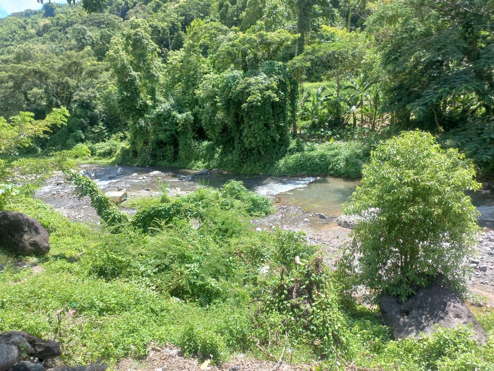 Residential-Lot-for-Sale-in-Mount-Lebanus-St.-Thomas-Jamaica Third image of Mount Lebanus in Mount Lebanus, St. Thomas, Jamaica - property is For Sale