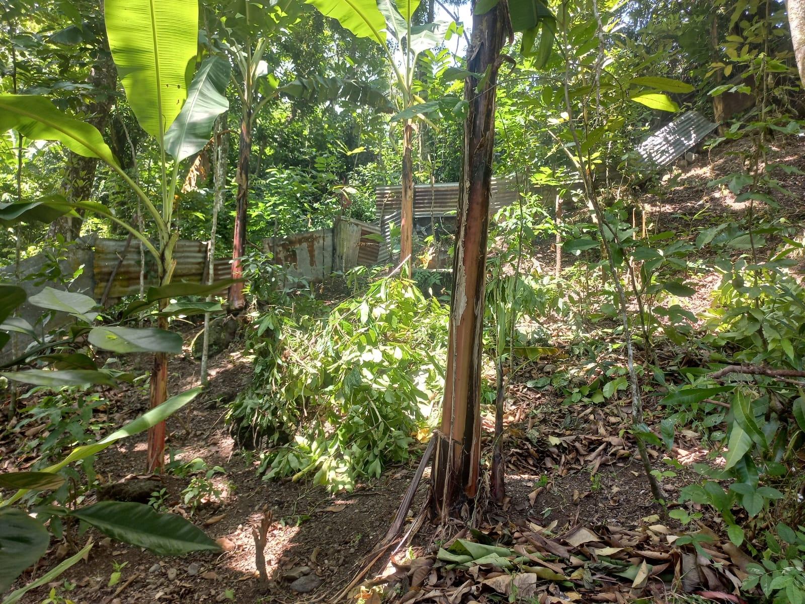 Residential-Lot-for-Sale-in-Mount-Lebanus-St.-Thomas-Jamaica Fifth image of Mount Lebanus in Mount Lebanus, St. Thomas, Jamaica - property is For Sale