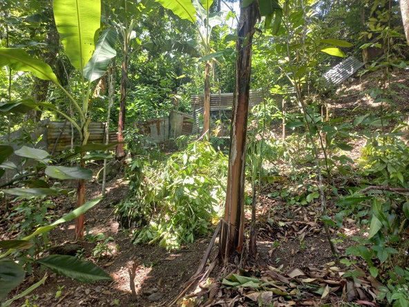 Fifth image of Mount Lebanus in Mount Lebanus, St. Thomas, Jamaica - property is For Sale