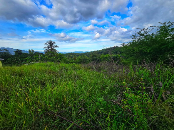 Sixth image of 66a Elm Crescent, Nutshell, e in Ewarton, St. Catherine, Jamaica - property is For Sale