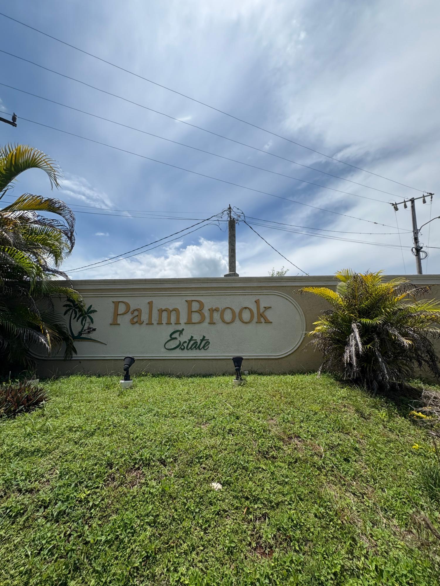 Residential-Lot-for-Sale-in-Palmbrook-Estate-Santa-Cruz-St.-Elizabeth-Jamaica Third image of 168 Palmbrook Estate in Lacovia, St. Elizabeth, Jamaica - property is For Sale