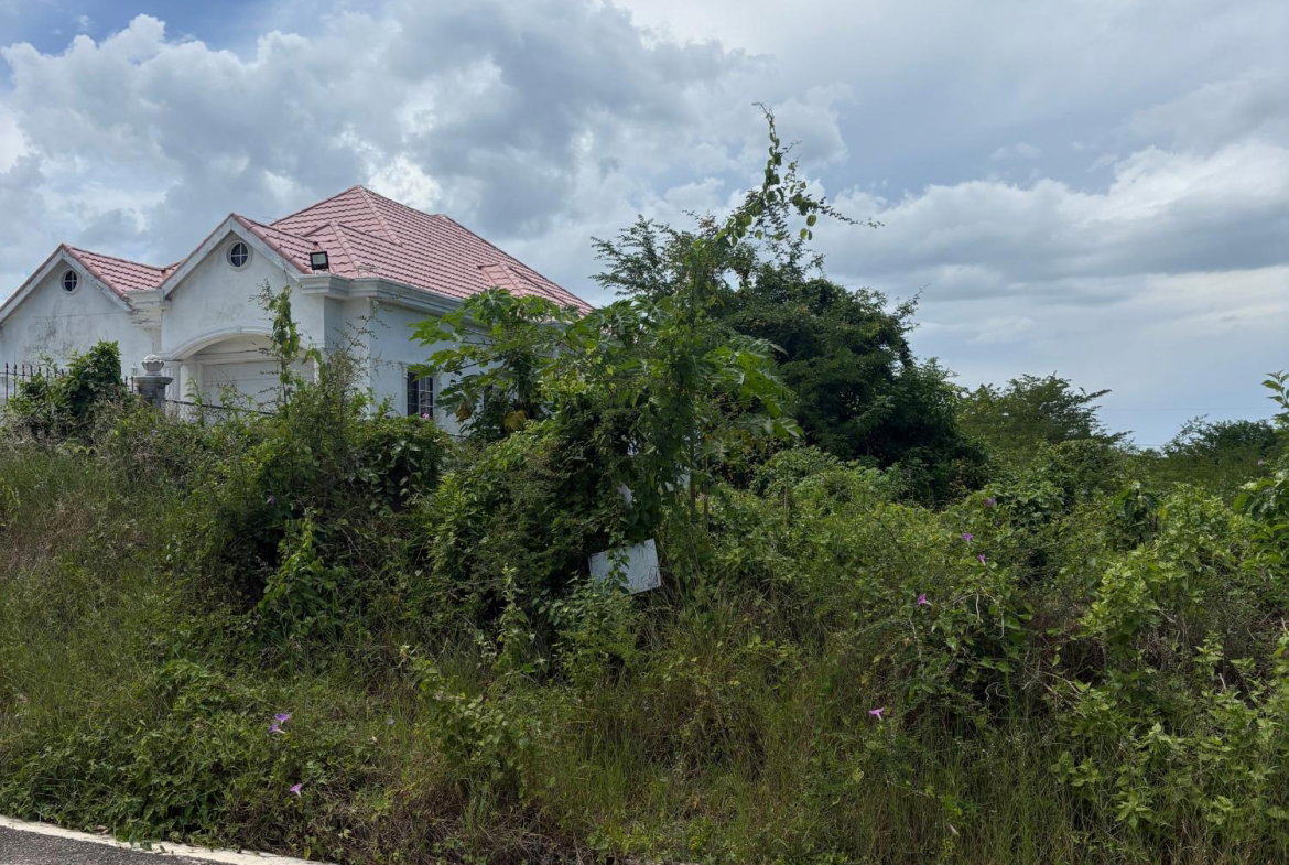 Fifth image of 168 Palmbrook Estate in Lacovia, St. Elizabeth, Jamaica - property is For Sale