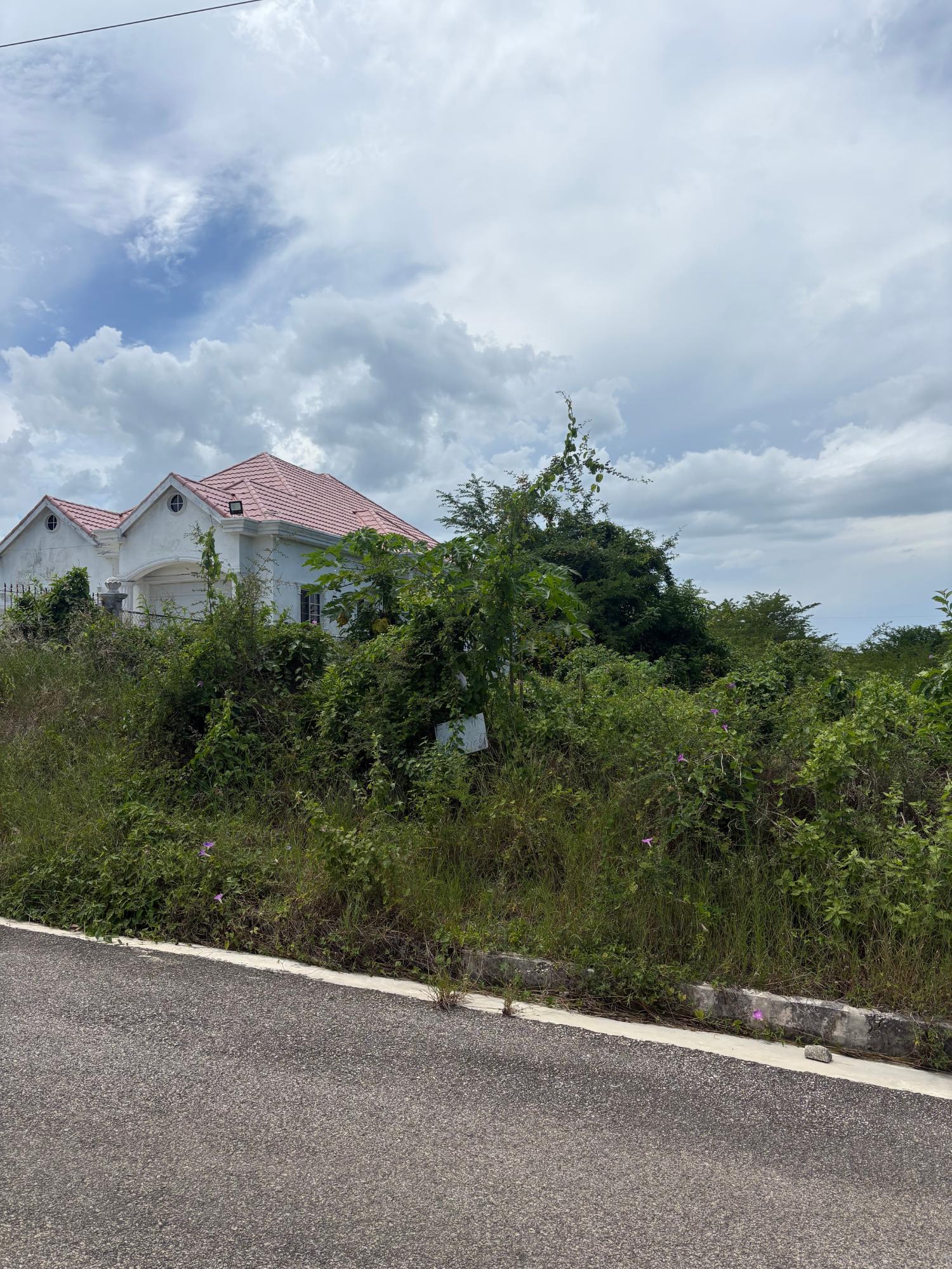 Residential-Lot-for-Sale-in-Palmbrook-Estate-Santa-Cruz-St.-Elizabeth-Jamaica Fifth image of 168 Palmbrook Estate in Lacovia, St. Elizabeth, Jamaica - property is For Sale