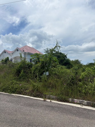Fifth image of 168 Palmbrook Estate in Lacovia, St. Elizabeth, Jamaica - property is For Sale