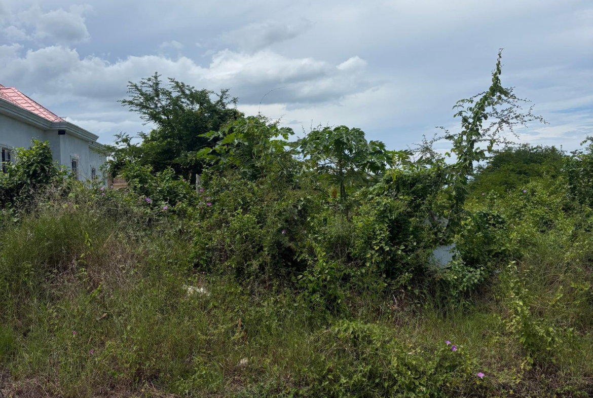 Sixth image of 168 Palmbrook Estate in Lacovia, St. Elizabeth, Jamaica - property is For Sale