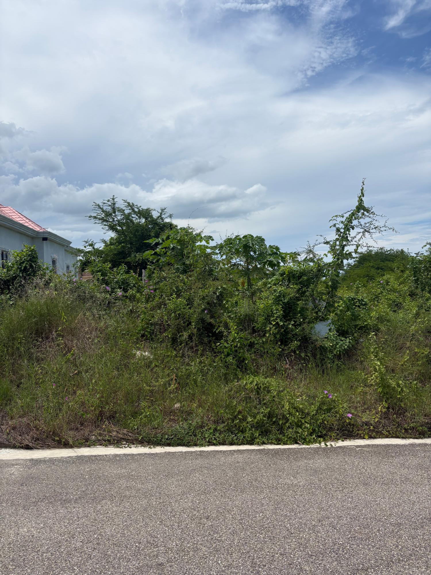 Residential-Lot-for-Sale-in-Palmbrook-Estate-Santa-Cruz-St.-Elizabeth-Jamaica Sixth image of 168 Palmbrook Estate in Lacovia, St. Elizabeth, Jamaica - property is For Sale