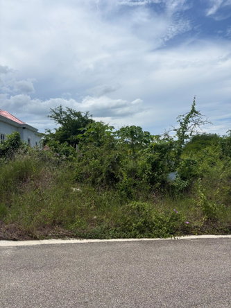 Sixth image of 168 Palmbrook Estate in Lacovia, St. Elizabeth, Jamaica - property is For Sale