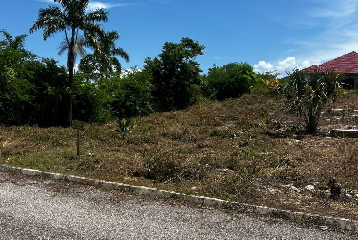 Second image of Lot 148 Palmbrook Estate in Lacovia, St. Elizabeth, Jamaica - property is For Sale
