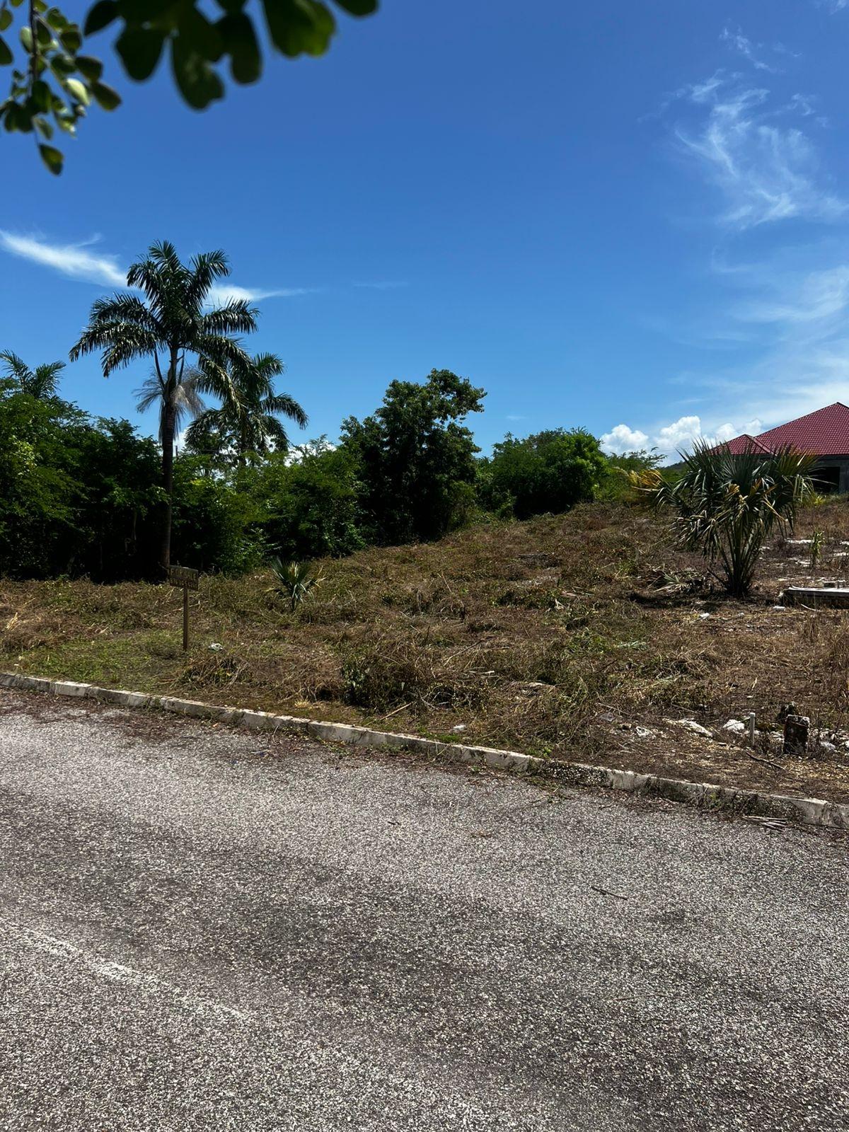 Second image of Lot 148 Palmbrook Estate in Lacovia, St. Elizabeth, Jamaica - property is For Sale