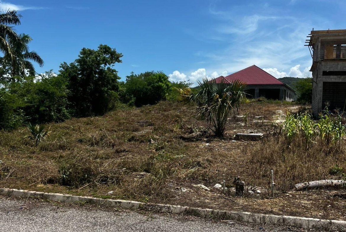Third image of Lot 148 Palmbrook Estate in Lacovia, St. Elizabeth, Jamaica - property is For Sale
