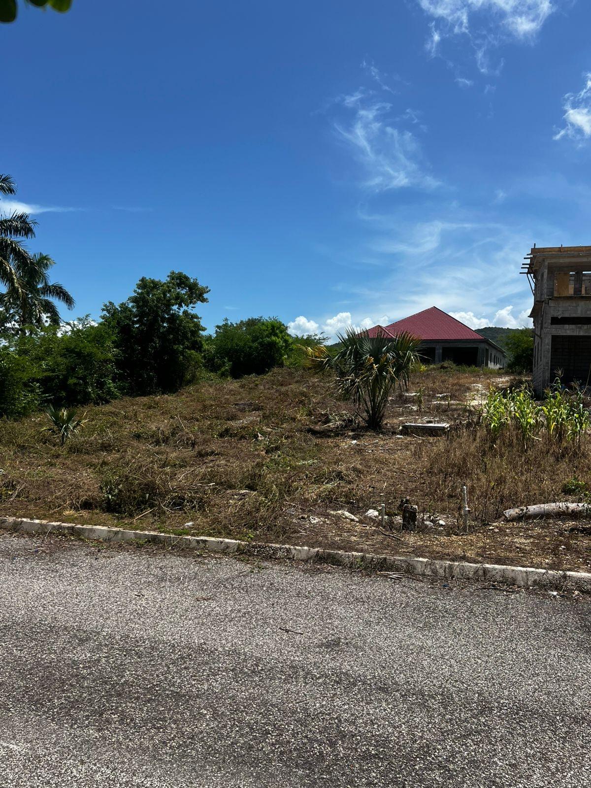 Third image of Lot 148 Palmbrook Estate in Lacovia, St. Elizabeth, Jamaica - property is For Sale