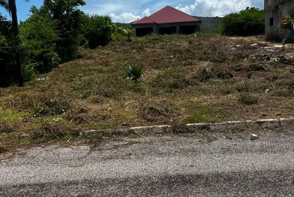 Fourth image of Lot 148 Palmbrook Estate in Lacovia, St. Elizabeth, Jamaica - property is For Sale