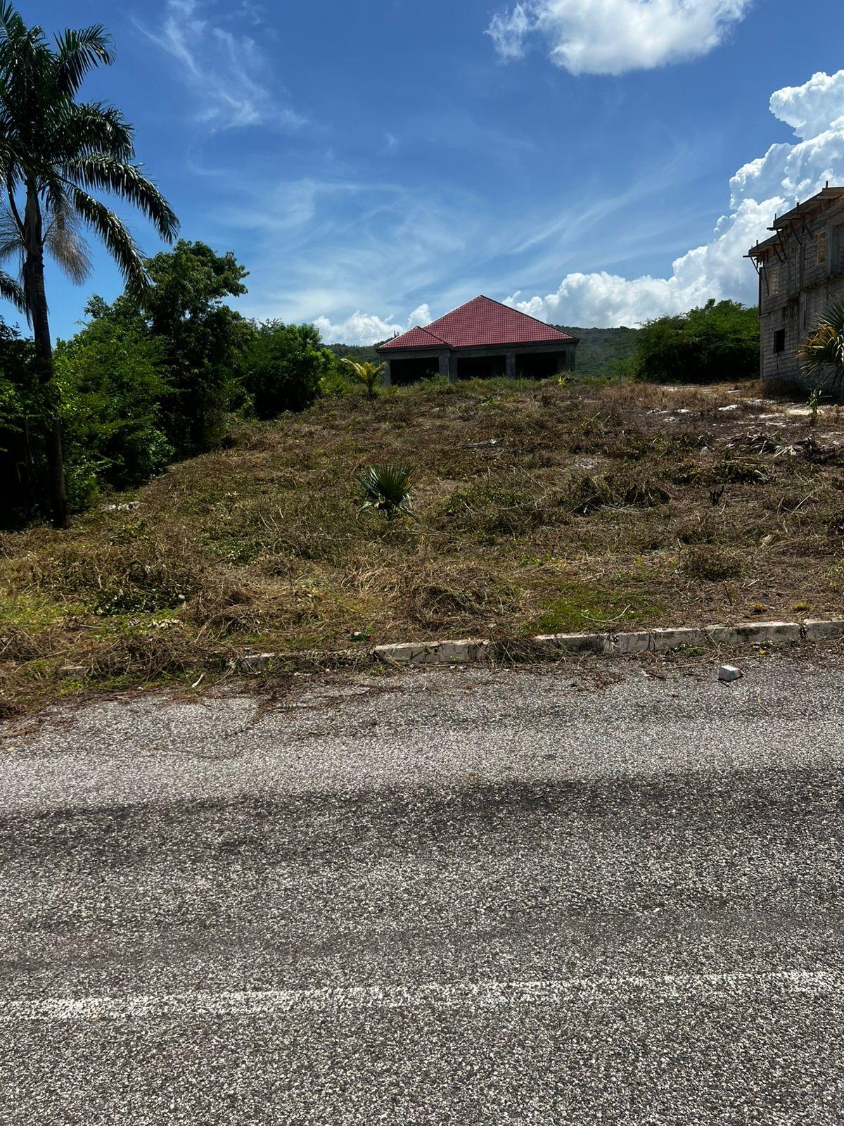 Fourth image of Lot 148 Palmbrook Estate in Lacovia, St. Elizabeth, Jamaica - property is For Sale