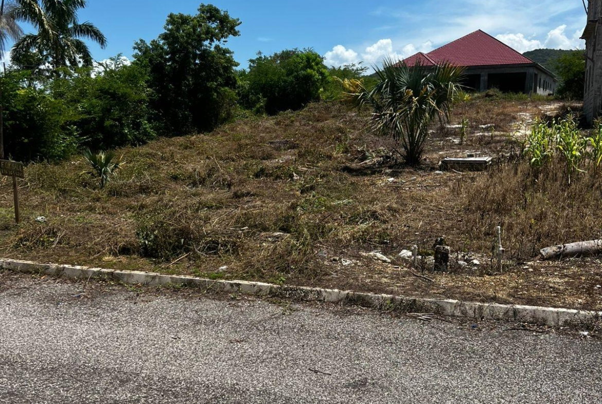 Fifth image of Lot 148 Palmbrook Estate in Lacovia, St. Elizabeth, Jamaica - property is For Sale
