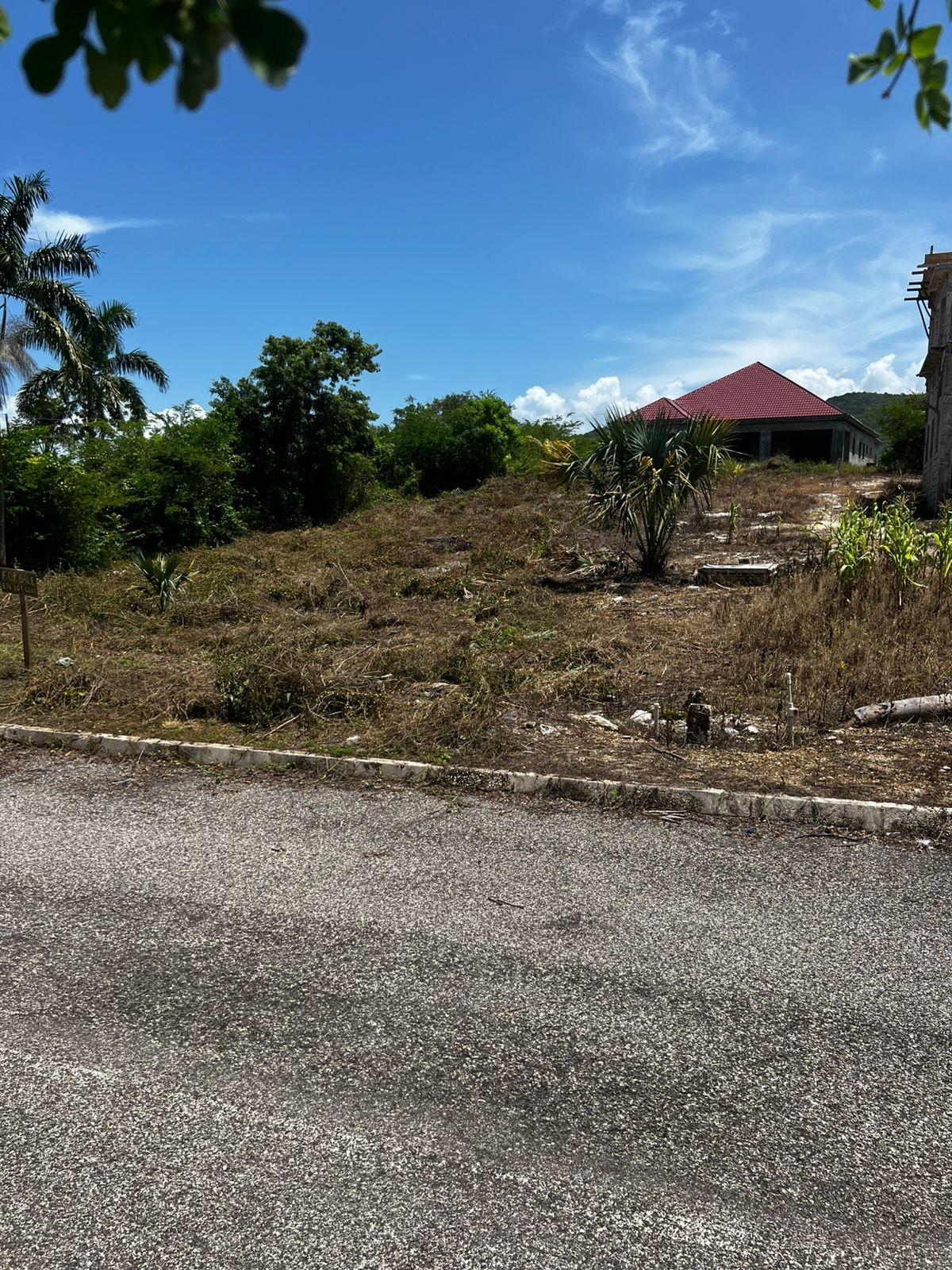Fifth image of Lot 148 Palmbrook Estate in Lacovia, St. Elizabeth, Jamaica - property is For Sale