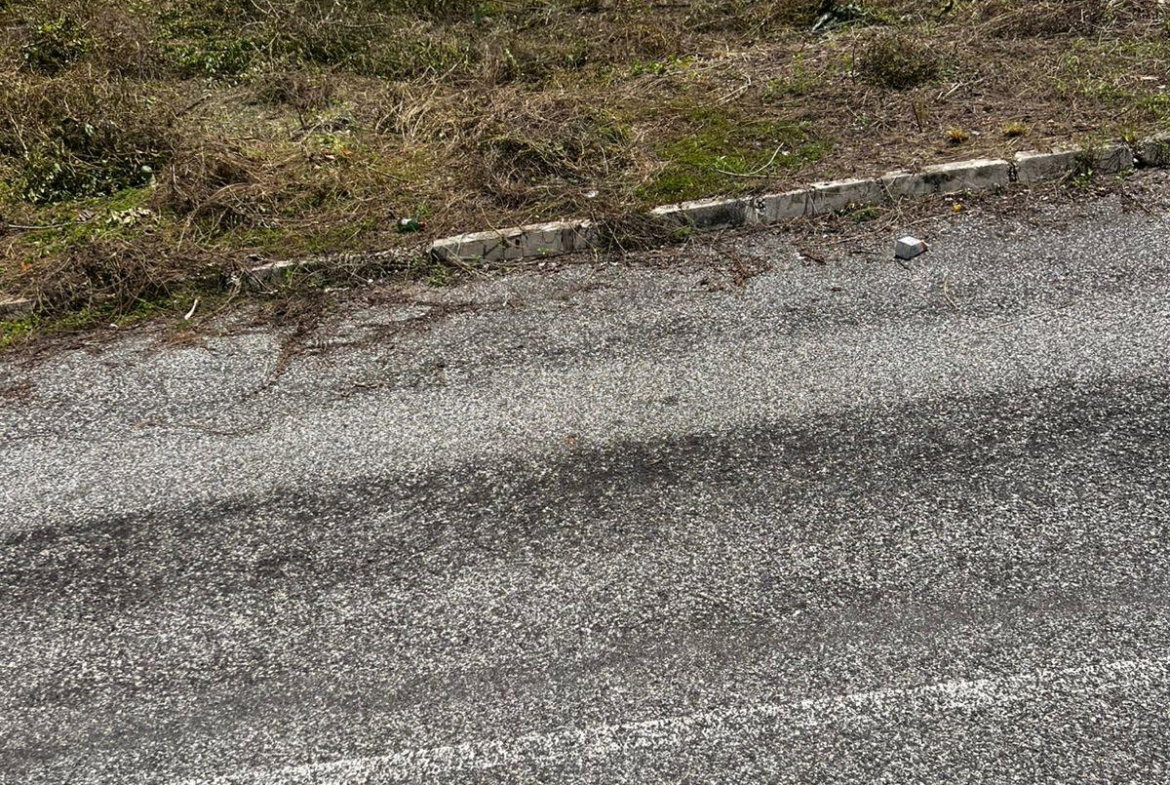 Sixth image of Lot 148 Palmbrook Estate in Lacovia, St. Elizabeth, Jamaica - property is For Sale