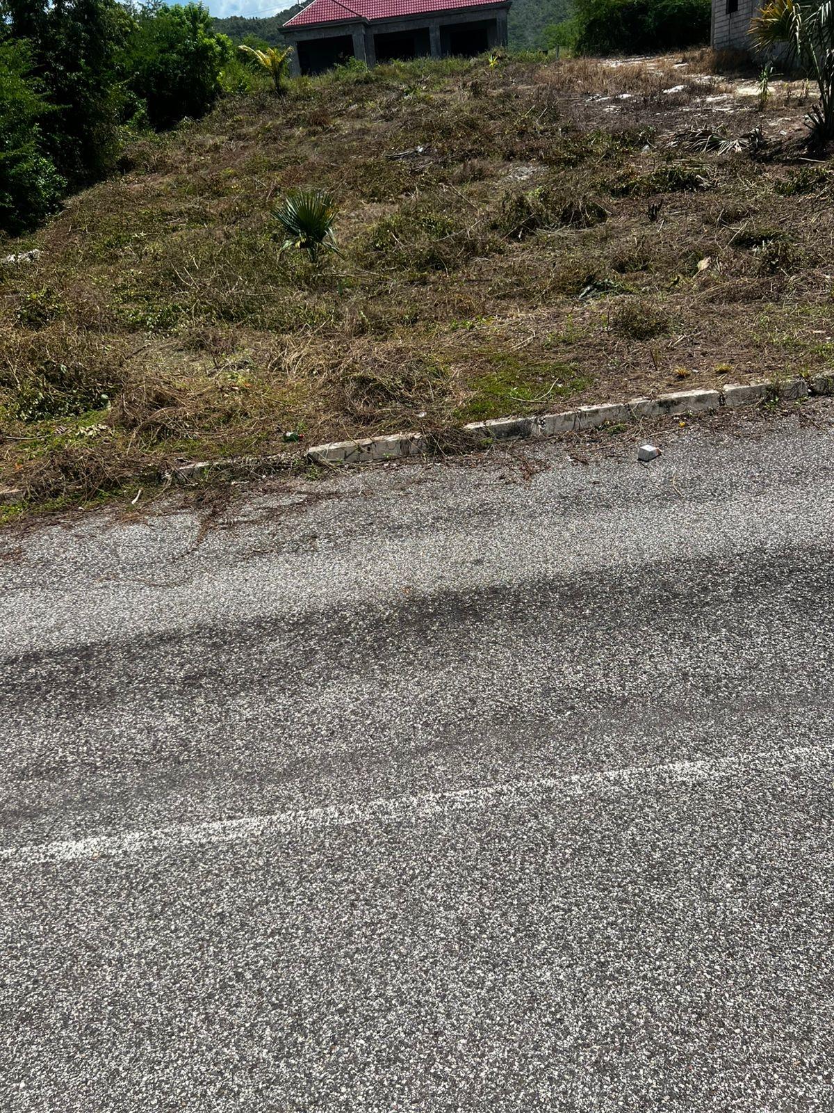 Sixth image of Lot 148 Palmbrook Estate in Lacovia, St. Elizabeth, Jamaica - property is For Sale