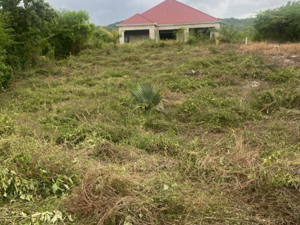 First image of Lot 148 Palmbrook Estate in Lacovia, St. Elizabeth, Jamaica - property is For Sale