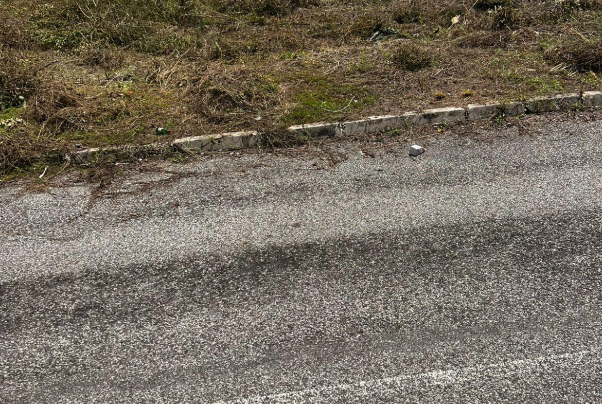 Seventh image of Lot 148 Palmbrook Estate in Lacovia, St. Elizabeth, Jamaica - property is For Sale