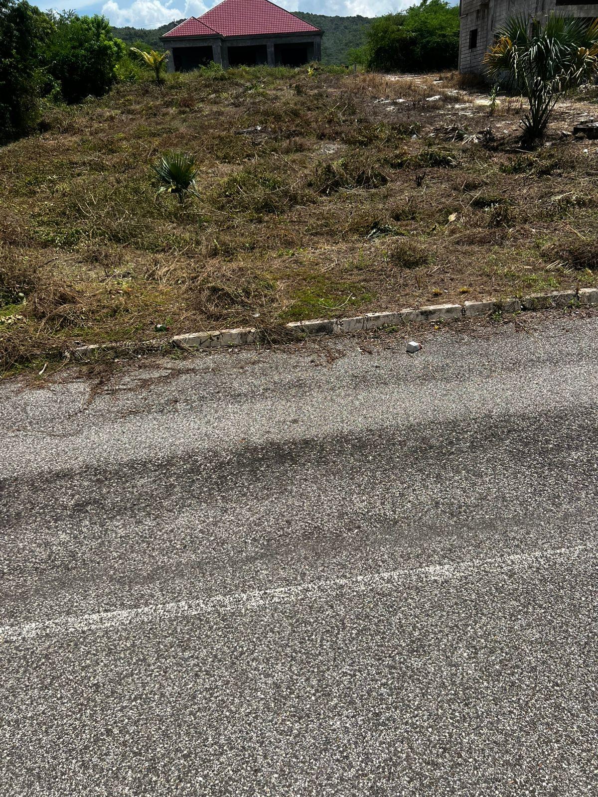 Seventh image of Lot 148 Palmbrook Estate in Lacovia, St. Elizabeth, Jamaica - property is For Sale