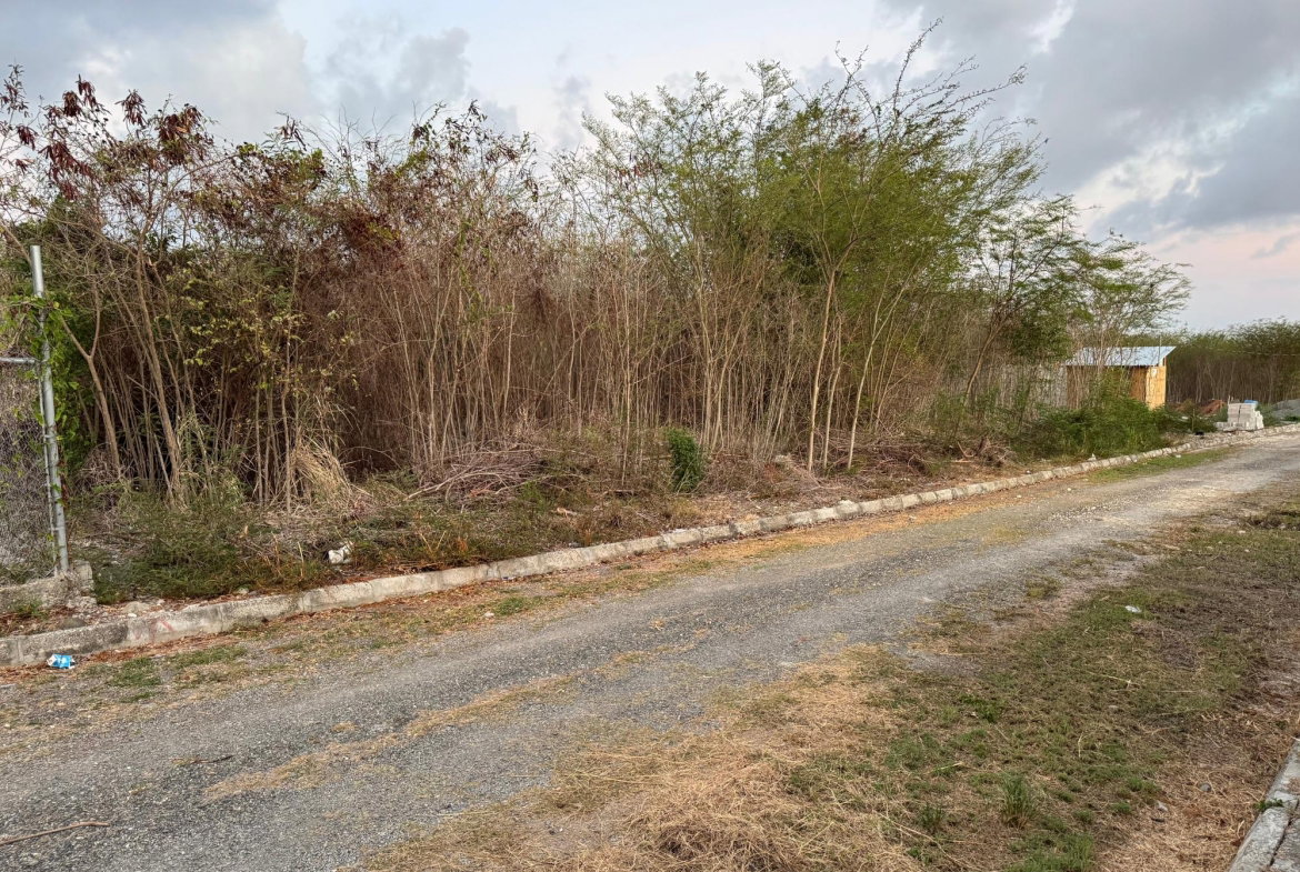 Third image of Pamphret in Yallahs, St. Thomas, Jamaica - property is For Sale