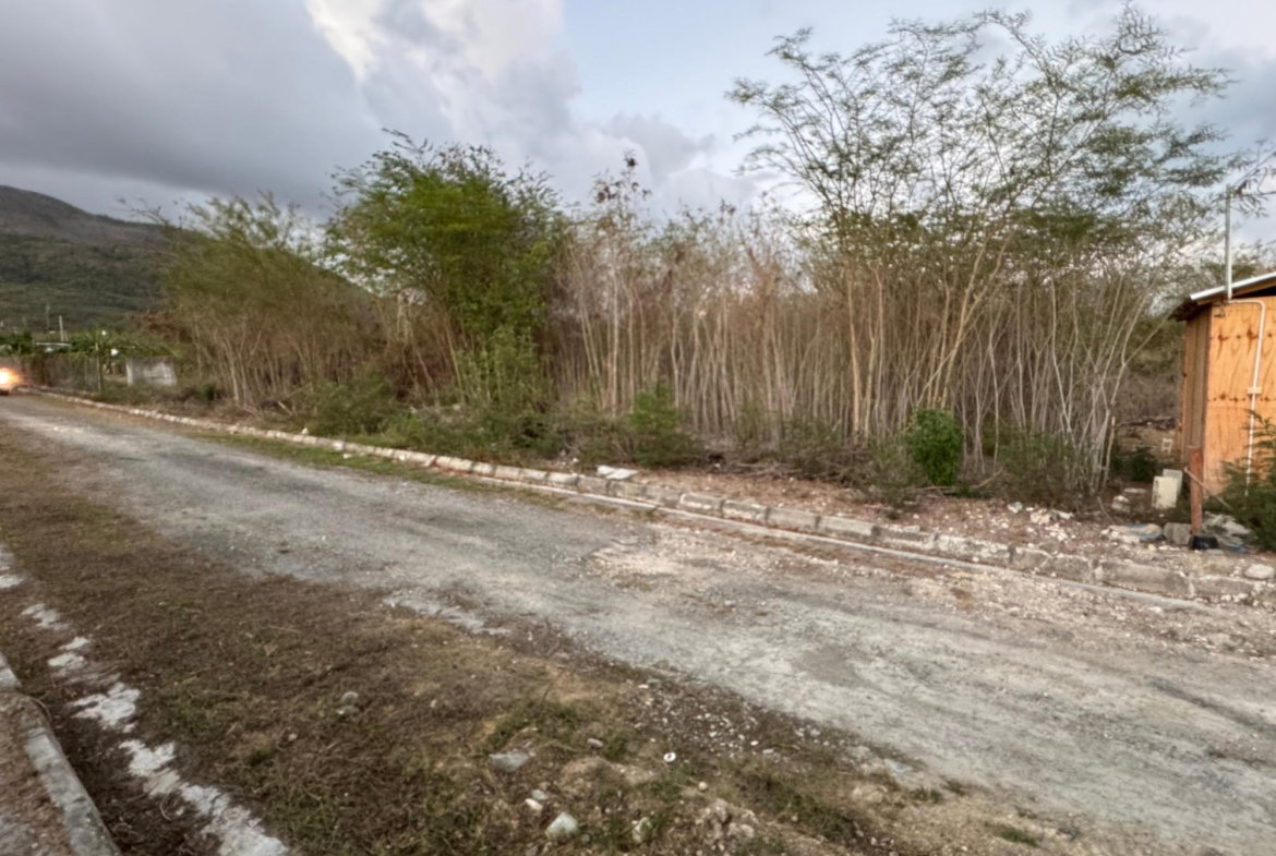 Fourth image of Pamphret in Yallahs, St. Thomas, Jamaica - property is For Sale