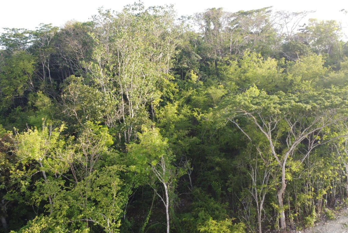 Second image of Gravesend, Trelawny in Gravesend, Trelawny, Jamaica - property is For Sale