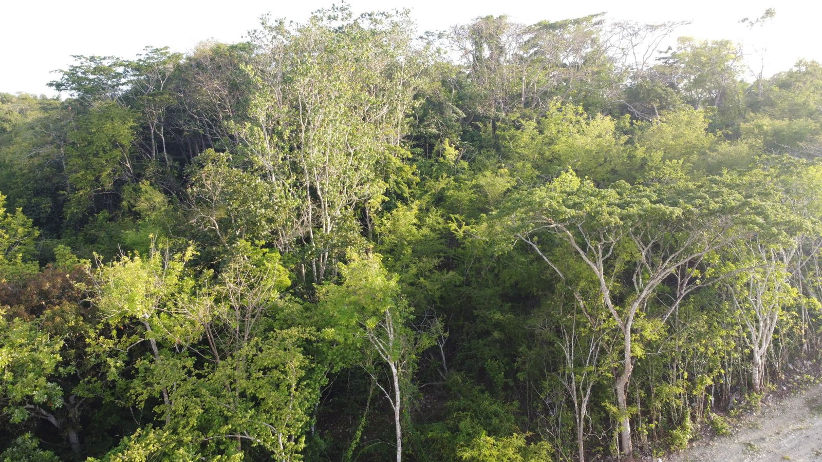 Second image of Gravesend, Trelawny in Gravesend, Trelawny, Jamaica - property is For Sale