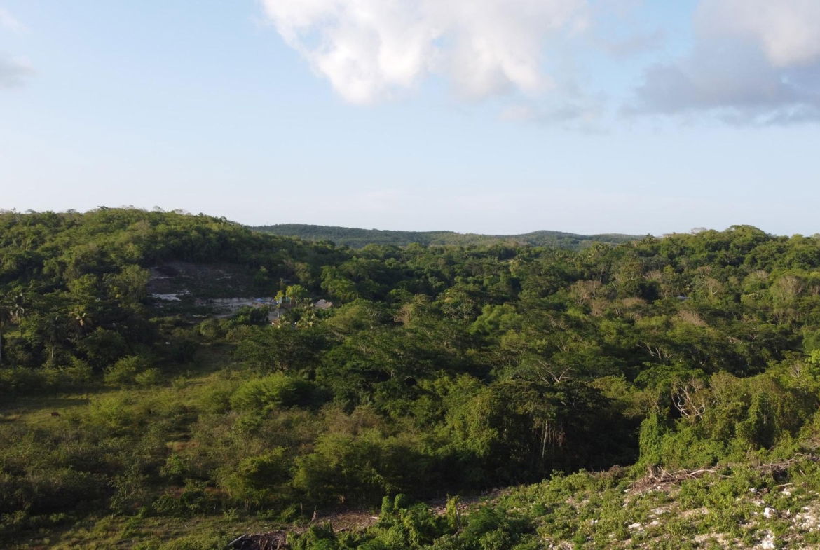 Eleventh image of Gravesend, Trelawny in Gravesend, Trelawny, Jamaica - property is For Sale