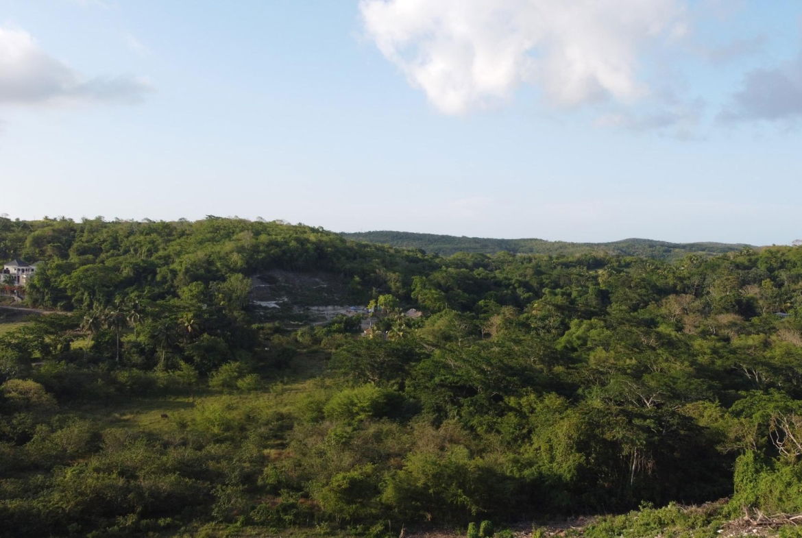 Twelfth image of Gravesend, Trelawny in Gravesend, Trelawny, Jamaica - property is For Sale