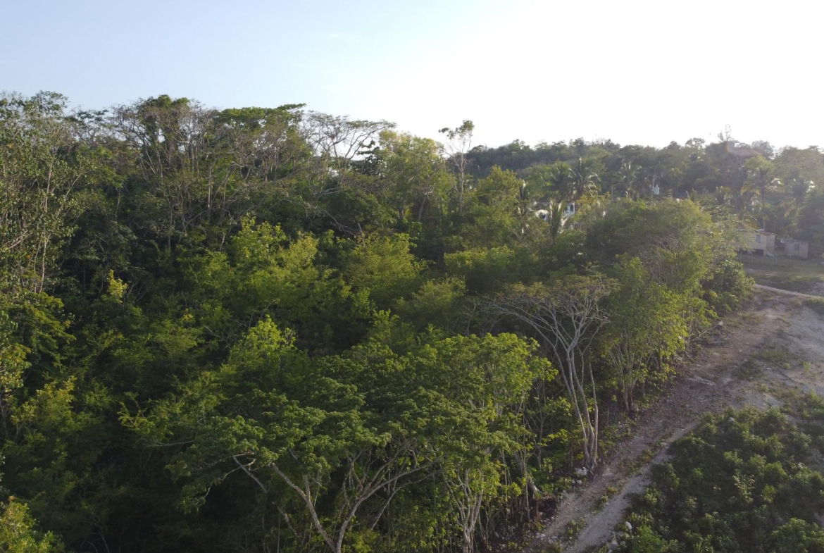 First image of Gravesend, Trelawny in Gravesend, Trelawny, Jamaica - property is For Sale