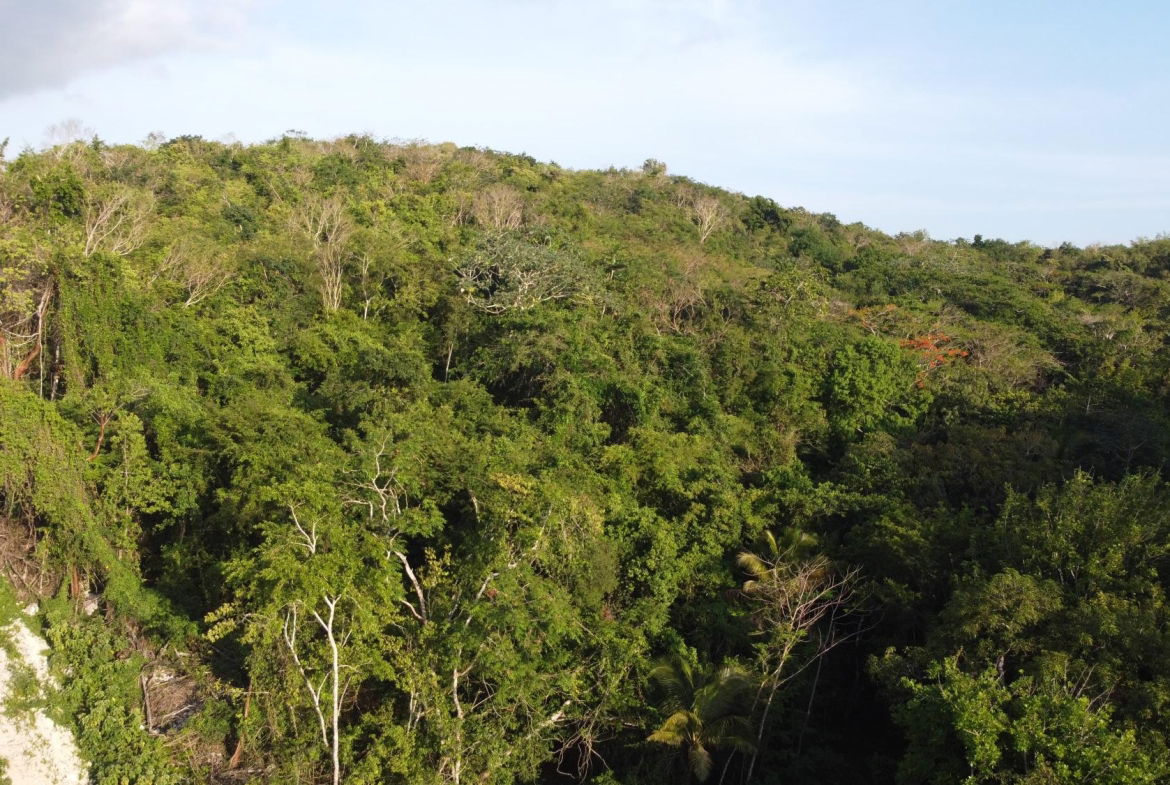 Thirteenth image of Gravesend, Trelawny in Gravesend, Trelawny, Jamaica - property is For Sale