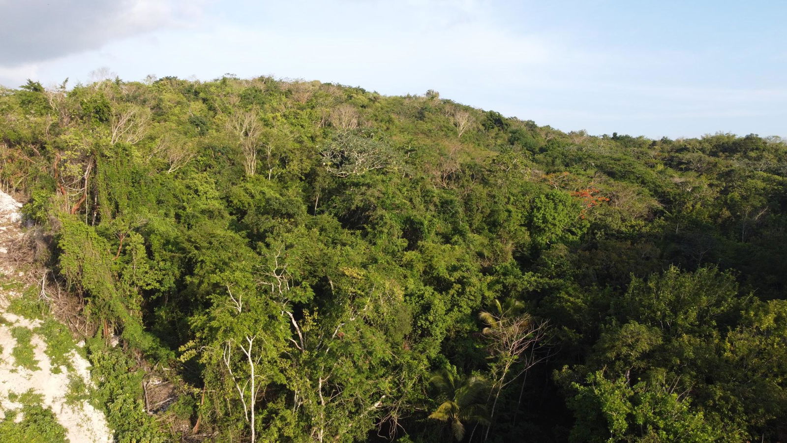 Thirteenth image of Gravesend, Trelawny in Gravesend, Trelawny, Jamaica - property is For Sale