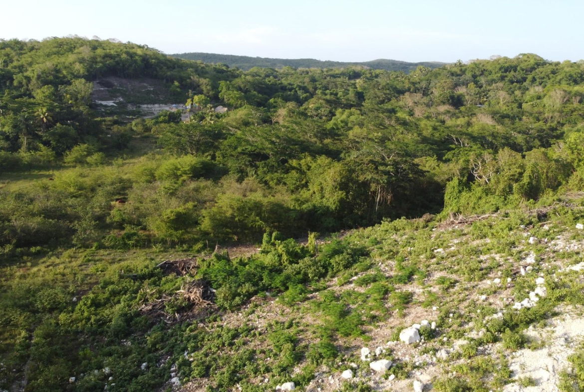 Fourteenth image of Gravesend, Trelawny in Gravesend, Trelawny, Jamaica - property is For Sale