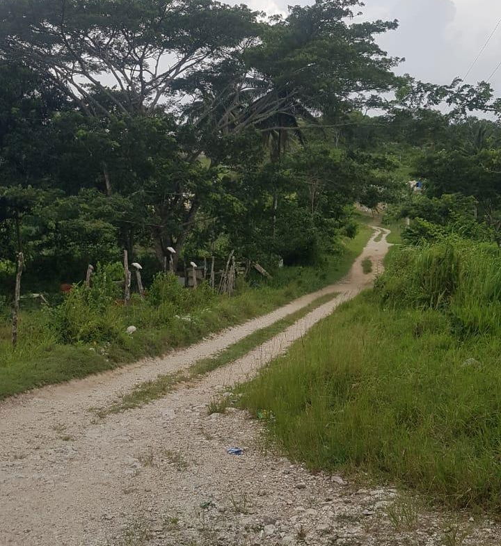 Seventeenth image of Gravesend, Trelawny in Gravesend, Trelawny, Jamaica - property is For Sale