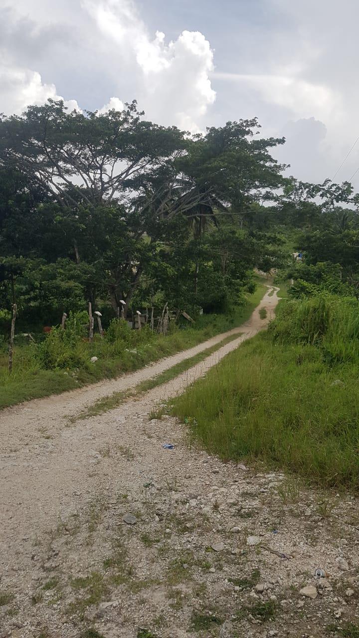 Seventeenth image of Gravesend, Trelawny in Gravesend, Trelawny, Jamaica - property is For Sale