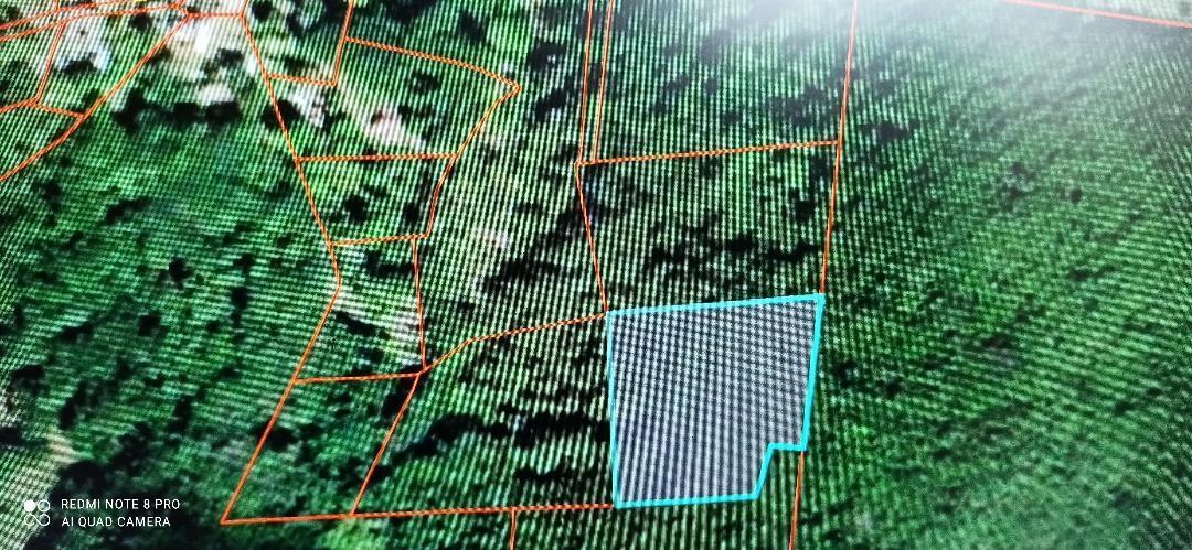 Eighteenth image of Gravesend, Trelawny in Gravesend, Trelawny, Jamaica - property is For Sale