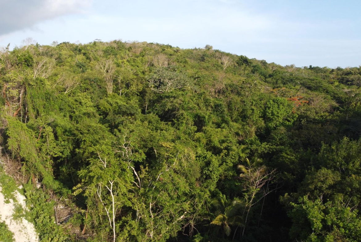 Third image of Gravesend, Trelawny in Gravesend, Trelawny, Jamaica - property is For Sale