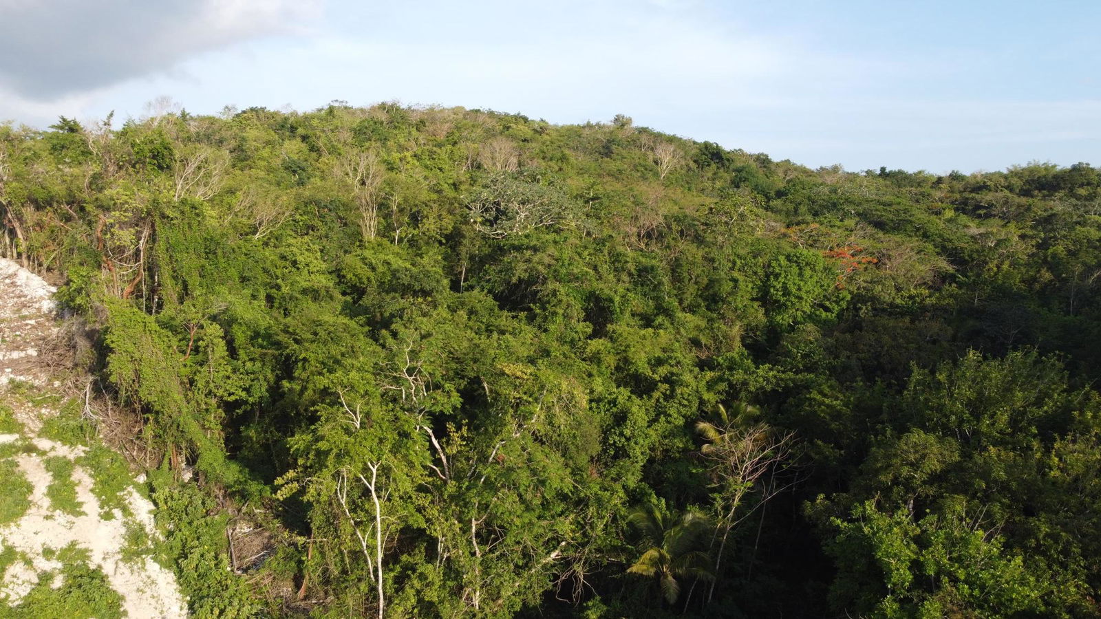Third image of Gravesend, Trelawny in Gravesend, Trelawny, Jamaica - property is For Sale