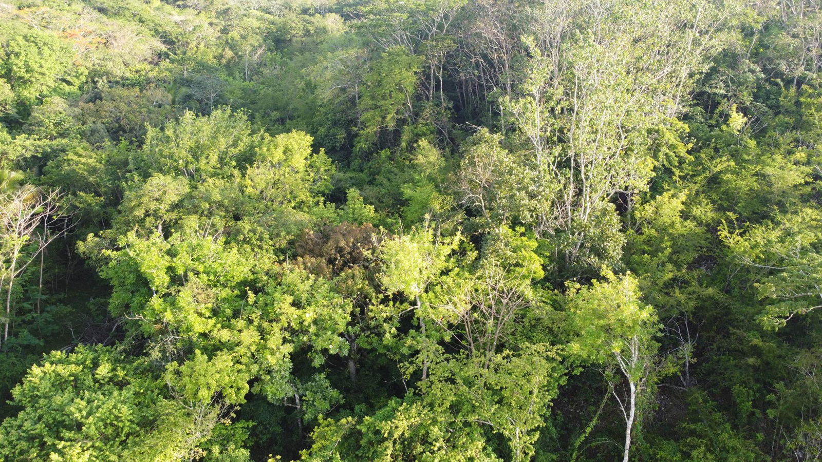 Fourth image of Gravesend, Trelawny in Gravesend, Trelawny, Jamaica - property is For Sale