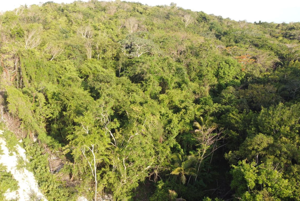 Fifth image of Gravesend, Trelawny in Gravesend, Trelawny, Jamaica - property is For Sale