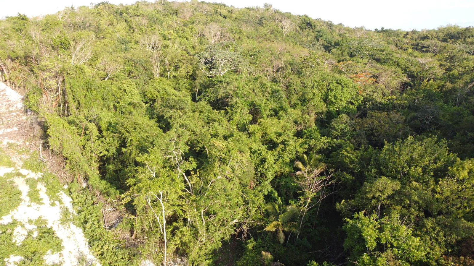 Fifth image of Gravesend, Trelawny in Gravesend, Trelawny, Jamaica - property is For Sale