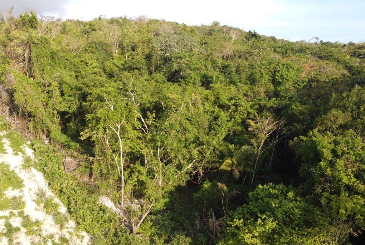 Sixth image of Gravesend, Trelawny in Gravesend, Trelawny, Jamaica - property is For Sale