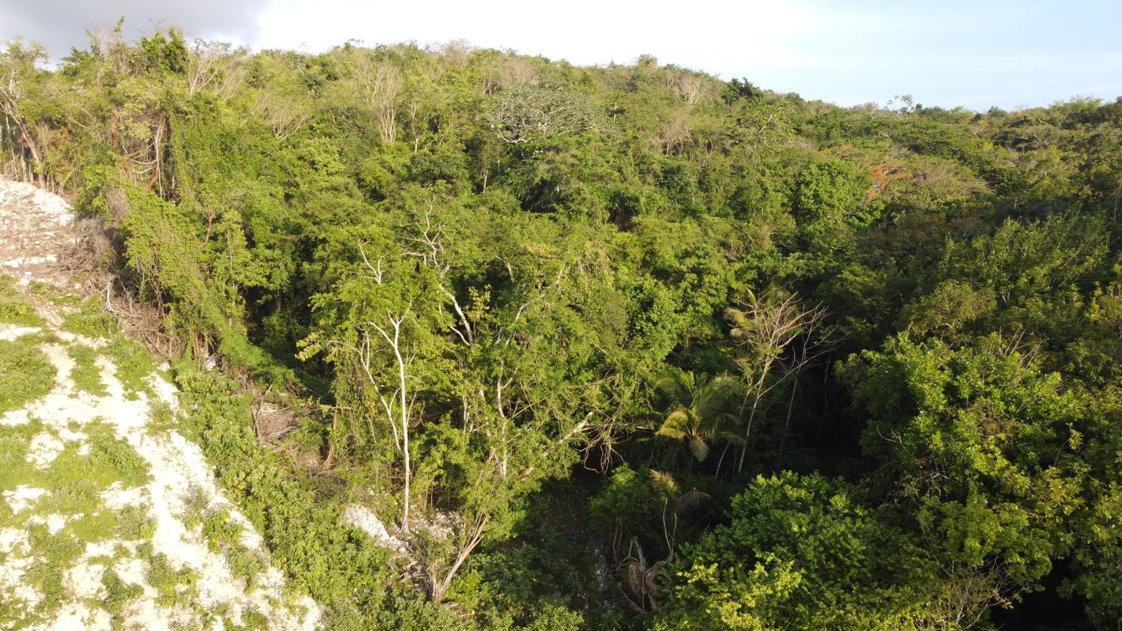 Sixth image of Gravesend, Trelawny in Gravesend, Trelawny, Jamaica - property is For Sale