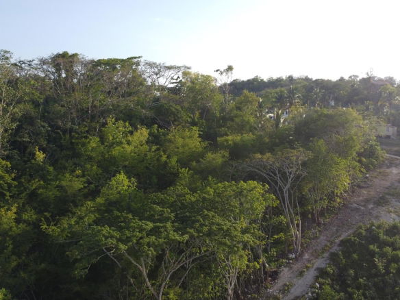 First image of Gravesend, Trelawny in Gravesend, Trelawny, Jamaica - property is For Sale