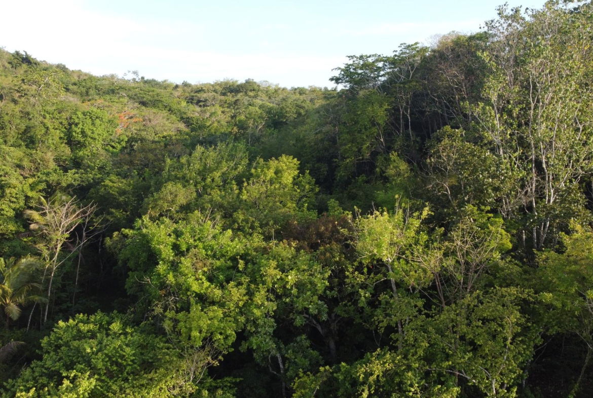 Seventh image of Gravesend, Trelawny in Gravesend, Trelawny, Jamaica - property is For Sale