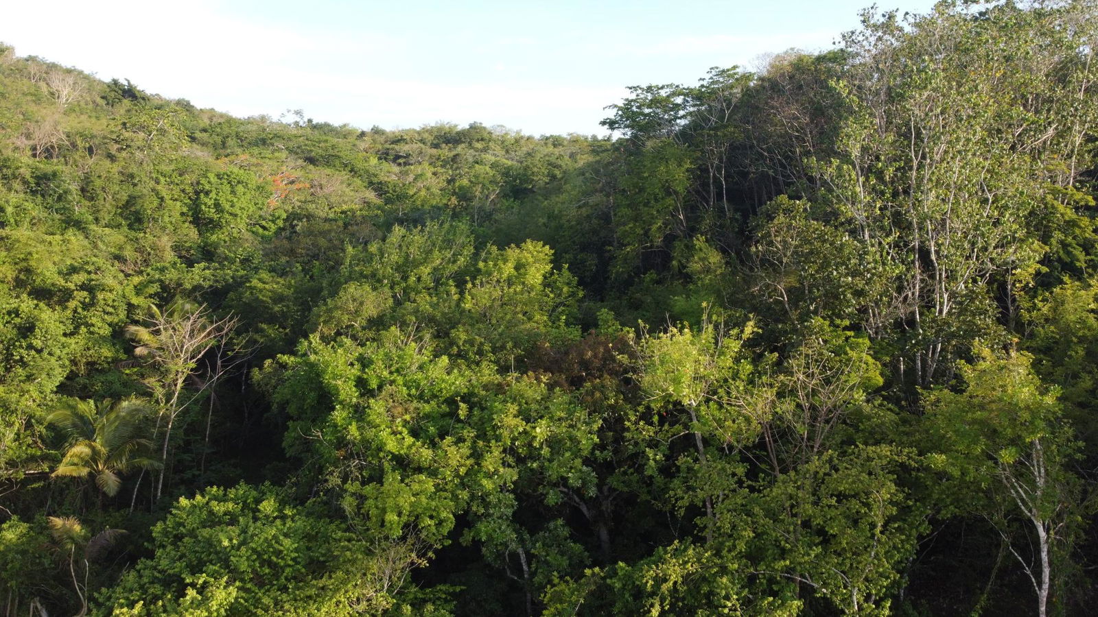 Seventh image of Gravesend, Trelawny in Gravesend, Trelawny, Jamaica - property is For Sale