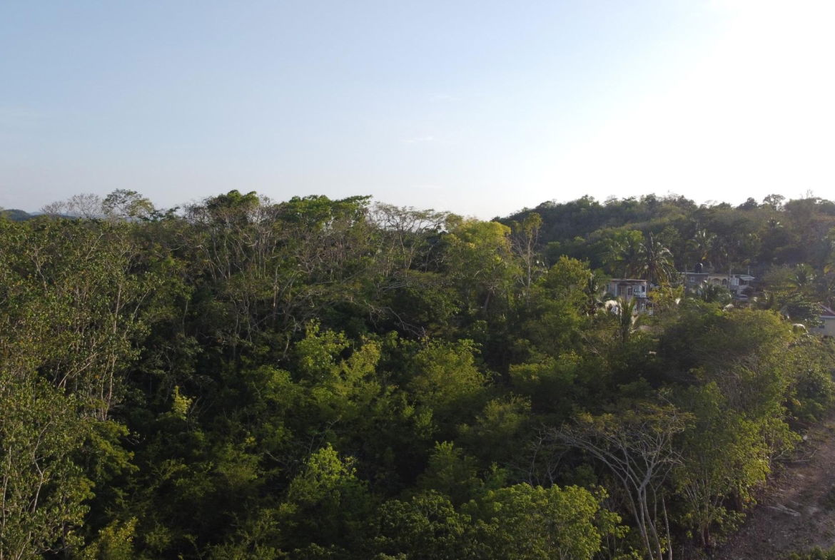 Eighth image of Gravesend, Trelawny in Gravesend, Trelawny, Jamaica - property is For Sale
