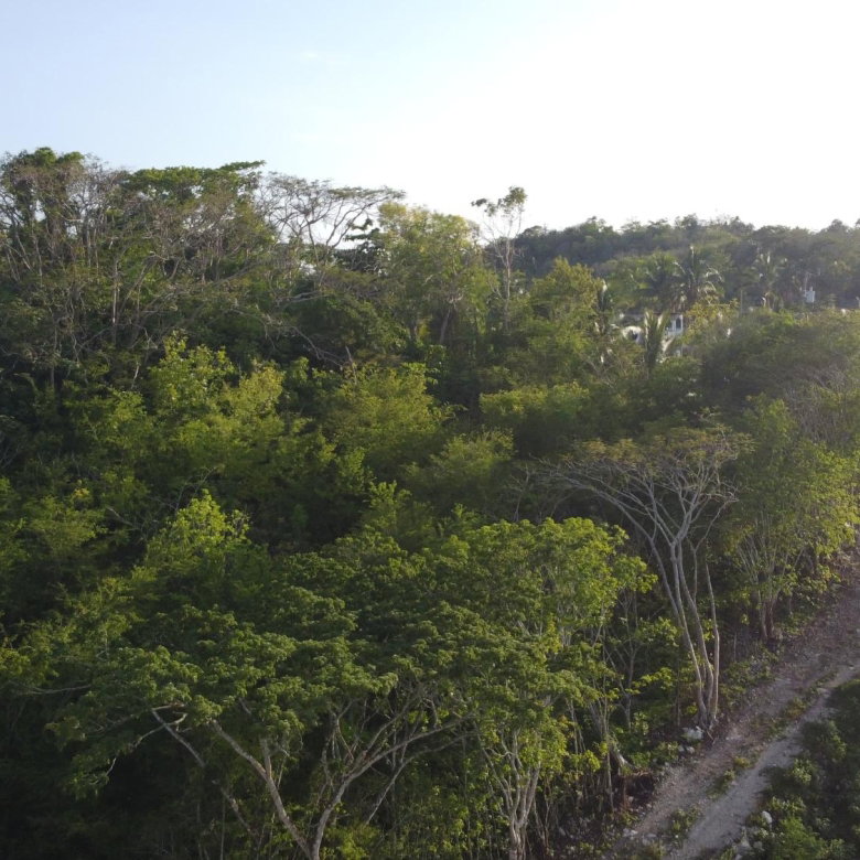 First image of Gravesend, Trelawny in Gravesend, Trelawny, Jamaica - property is For Sale